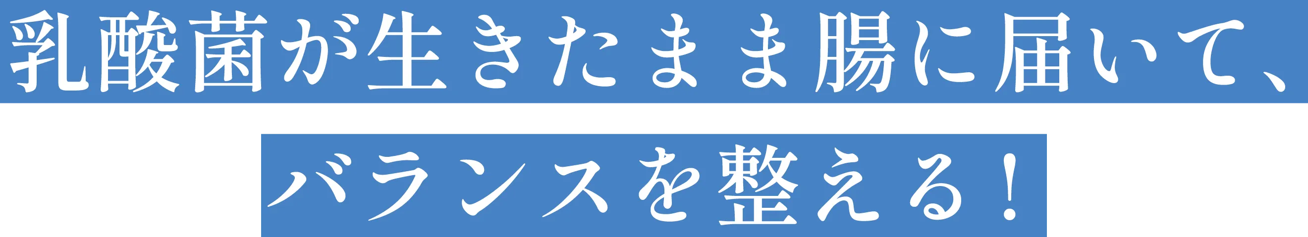 乳酸菌が生きたまま腸に届いて、バランスを整える！