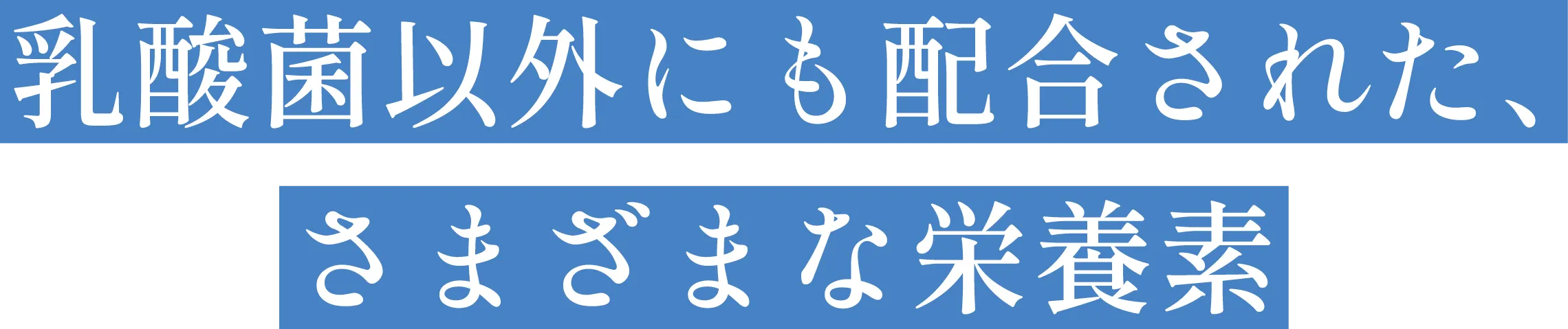 乳酸菌以外にも配合された、さまざまな栄養素