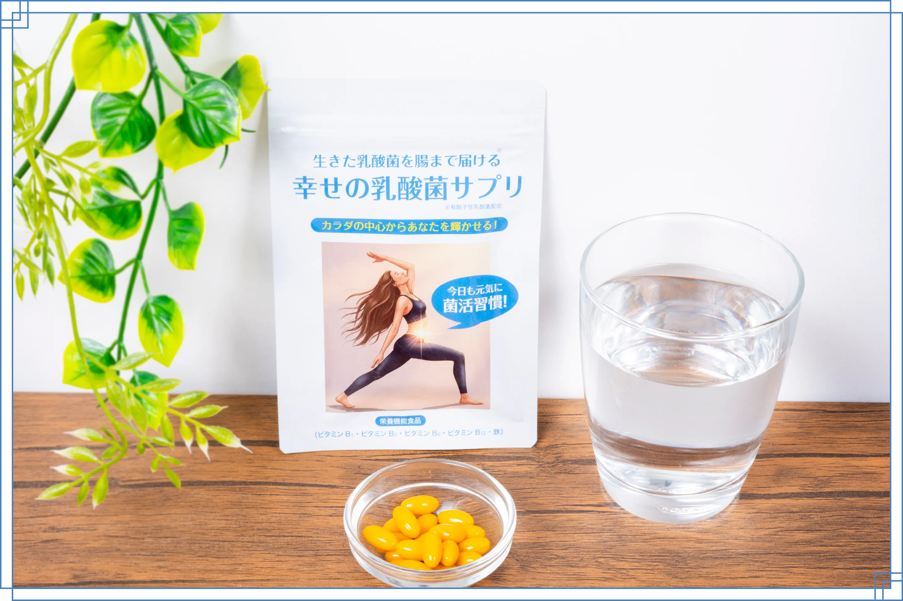 幸せの乳酸菌サプリ