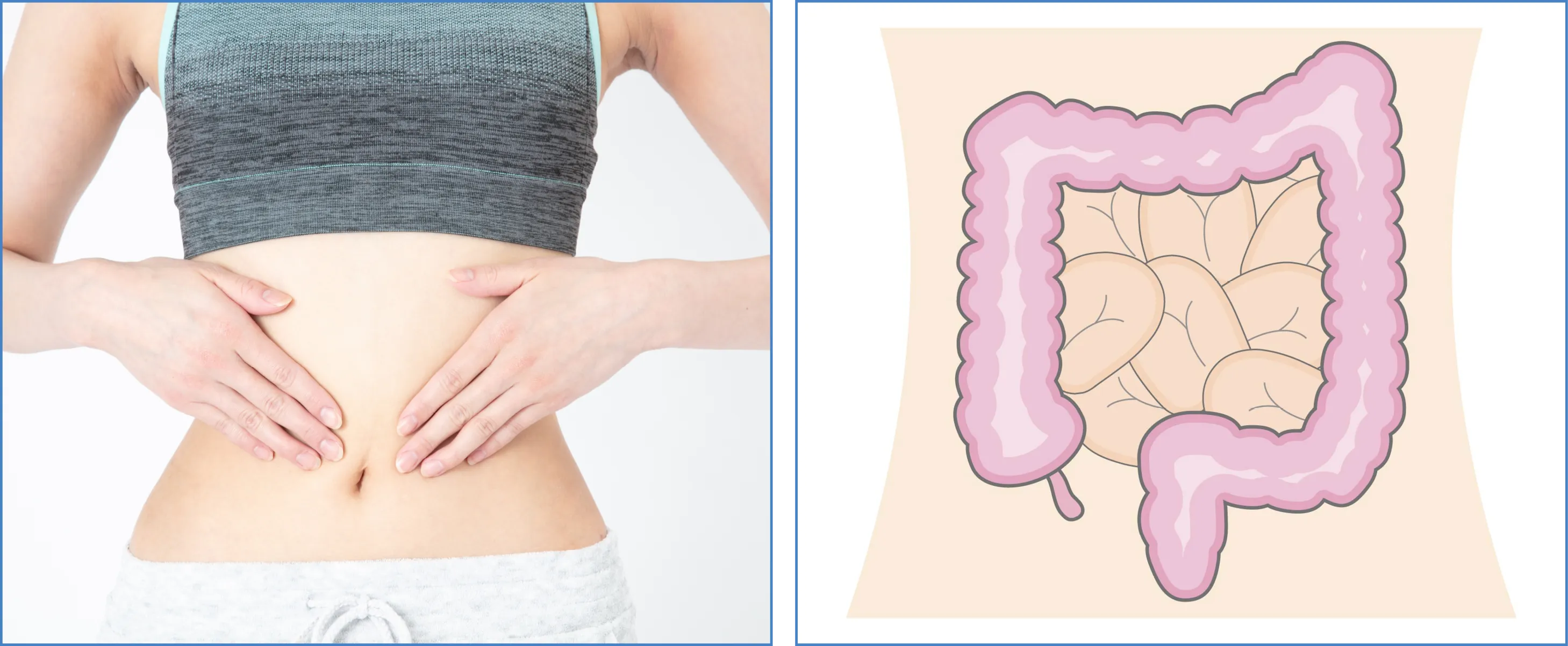 幸せの乳酸菌サプリ