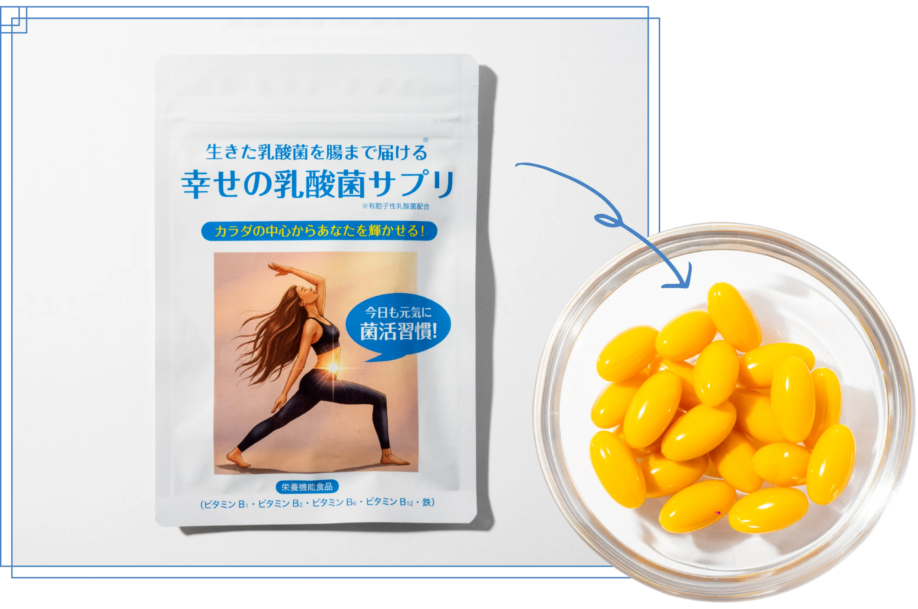 幸せの乳酸菌サプリ